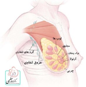 تشخیص سرطان پستان دکتر سلیمی تهرانپارس